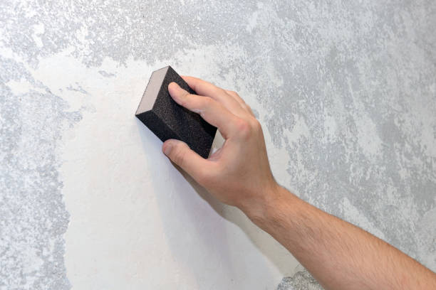 Best Mold Removal for HVAC Installations  in Plumsteadville, PA