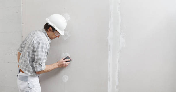Best Asbestos and Lead Testing During Mold Inspection  in Plumsteadville, PA